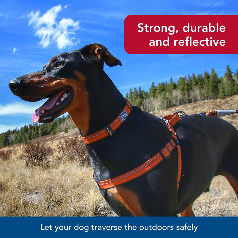 Coastal Pet K9 Explorer Reflective Adjustable Dog Collar - Comfortable Collar for The Outdoors - Durable, Lightweight Accessory with Side-Release Buckle - Orchid, 5/8" x 8-12" 5/8" x 08"-12" (Pack of 1) - PawsPlanet Australia