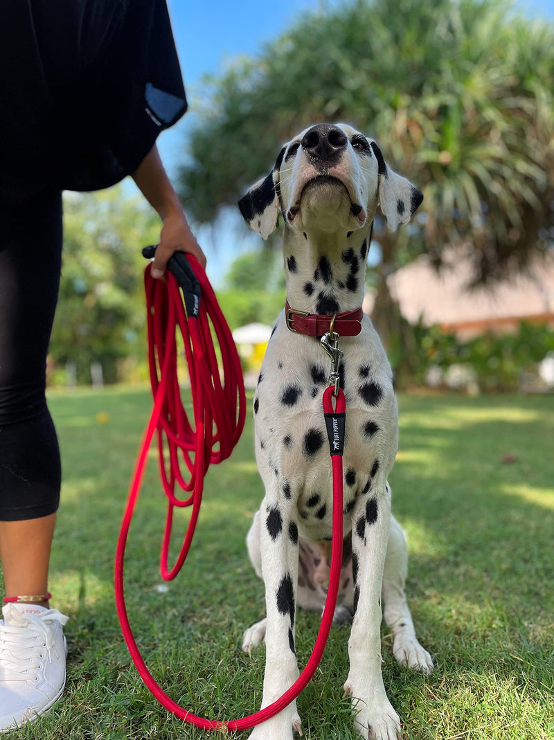 Tuff Pupper Heavy Duty 30 Foot Long Rope Leash for Dogs | Dog Recall Training Leash | High Visibility Strong Climbing Rope Leash | Hand or Waist Worn | Stainless Steel 360° Clips for Tangle Free Use March Red - PawsPlanet Australia