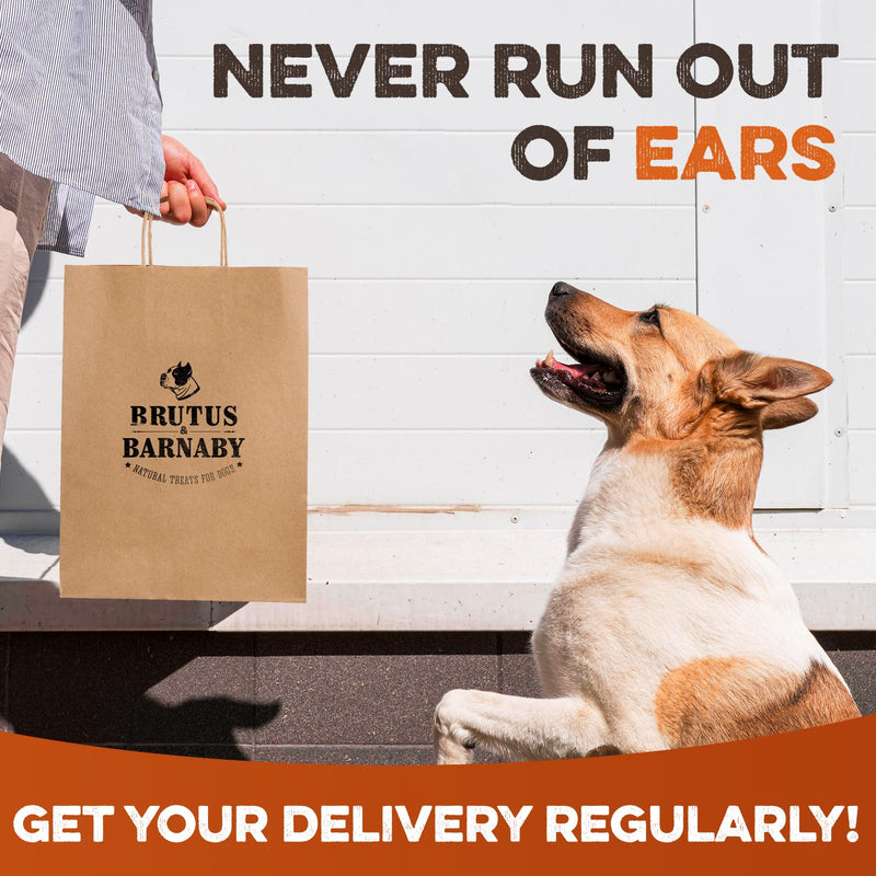 BRUTUS & BARNABY Cow Ears for Dogs – Whole Ears 12 ct, Thick Cut, Grass-Fed Angus Beef, All-Natural No-Rawhide Dog Treat Alternative 12 Count