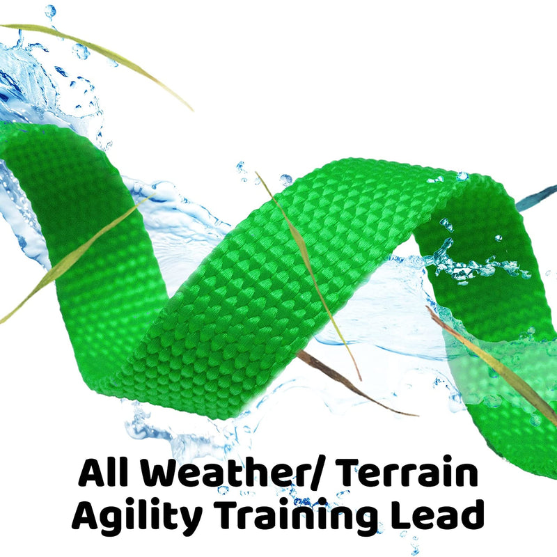 Long Dog Puppy Obedience Recall Training Agility Lead, Leash - GREEN, 15' Foot - by, Downtown Pet Supply 15 Foot - PawsPlanet Australia