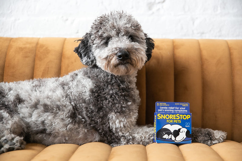 SnoreStop for Pets 20 Chewable Tablets I Natural Anti-Snoring Solution I Snore Relief for Dogs Cats I Stop Snoring Aid I Sleep Remedy I Device Free I Helps Stop Snores I Anti-Snore Aid - PawsPlanet Australia