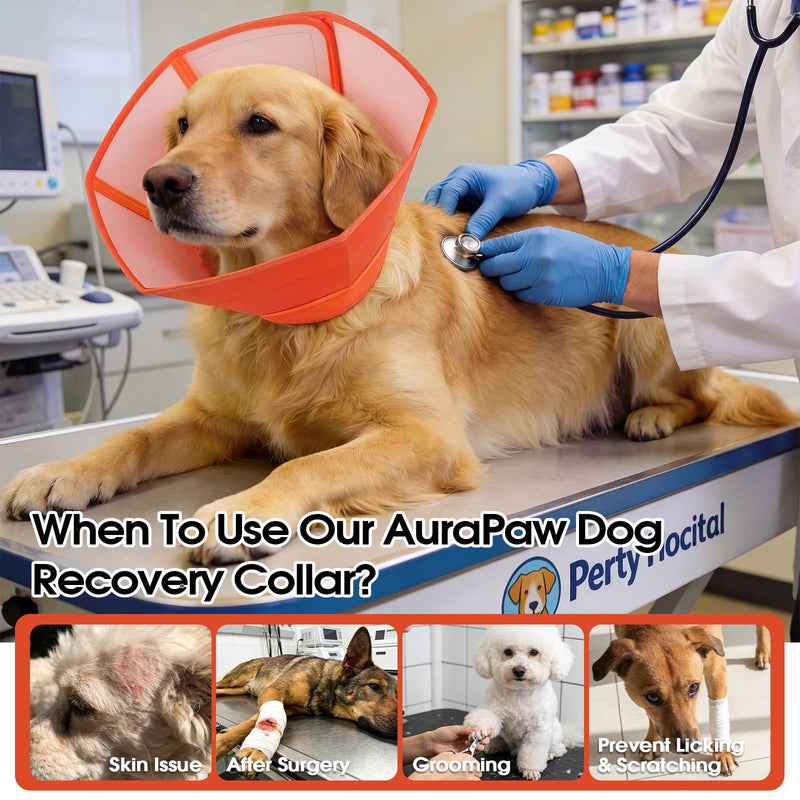 Soft Dog Collar for Large Dogs Comfortable Lightweight Elizabethan Collar Healing, Adjustable Anti-Licking Protection Guard for Wound Care, Spay, Neuter, Orange, Size XL X-Large(Depth: 11.81")