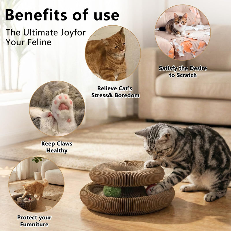 2-Pack Kitty Curls Cat Scratcher, Magic Organ Cat Toy with Catnip Ball for Indoor Cats – Foldable and Durable Honeycomb Design, Interactive Twisty Paws Cat Toy for Endless Play, Chase & Scratch 2 pcs - PawsPlanet Australia