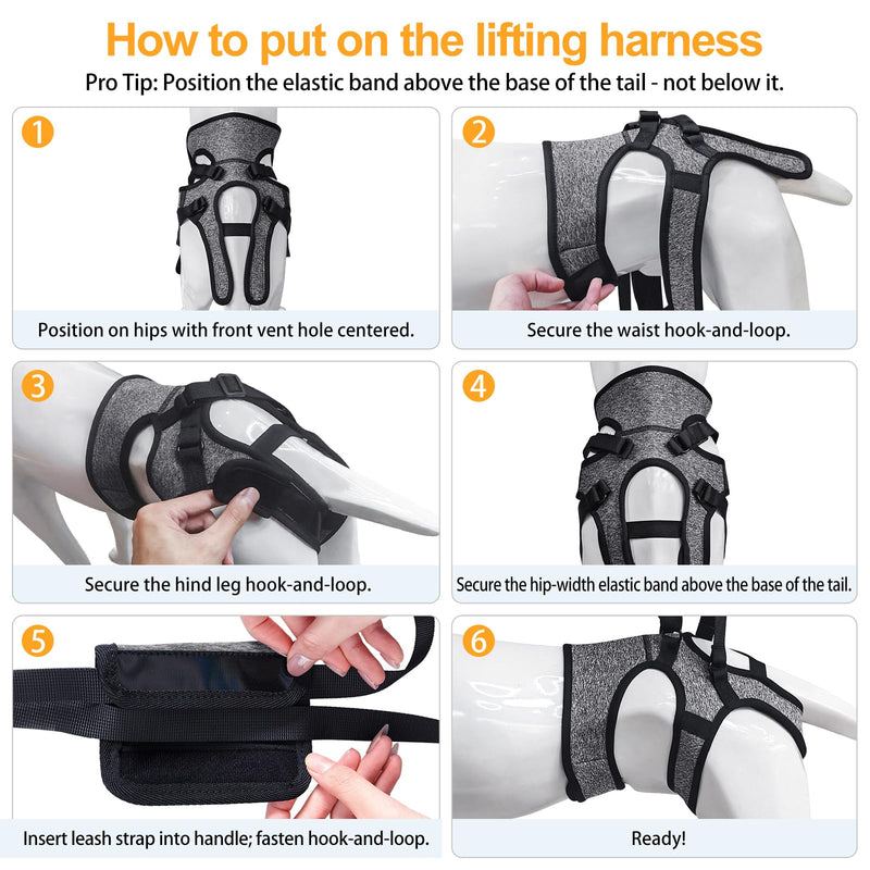 Dotoner Dog Lift Harness, Adjustable Support Sling for Back Legs, Adjustable Carrier for Injured Disabled Large Medium Small Dogs, Rear Leg Brace Assistance XL Grey