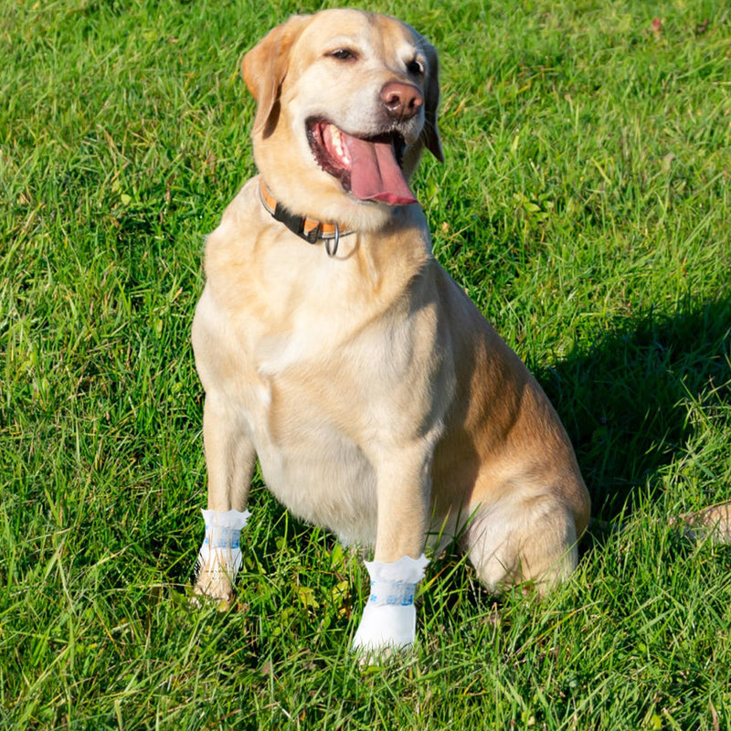 40Pcs Disposable Dog Booties for Paw Protection Dog Feet Covers Pet Shoes for Dogs Paw Wound Recovery Protectors with 2 Roll Dogs Paw Bandage for Medium Large Breeds(Blue, 40 Pack) Blue - PawsPlanet Australia