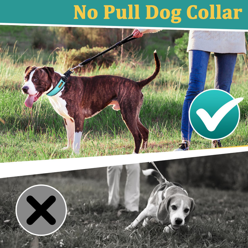 Martingale No Pull Dog Collar for Large Medium Dogs Pitbull German Shepherd Rottweiler, Patented Reflective Anti Pull Dog Collar with Buckle, Adjustable Dog Walking Collar No Pull for Training Hiking Large,2.5mm,18''-22"Neck Cyan