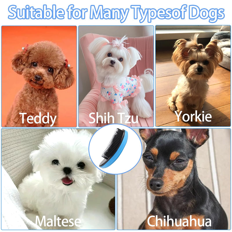 Small Dog Brush Puppy Brush for Small Dogs Soft Dog Bath Brusher Gentle Dogs Hair Remover Brushes Grooming Tool for Teddy Yorkies Maltese Shih Tzu Chihuahua Puppy Hair Brushes, Blue - PawsPlanet Australia