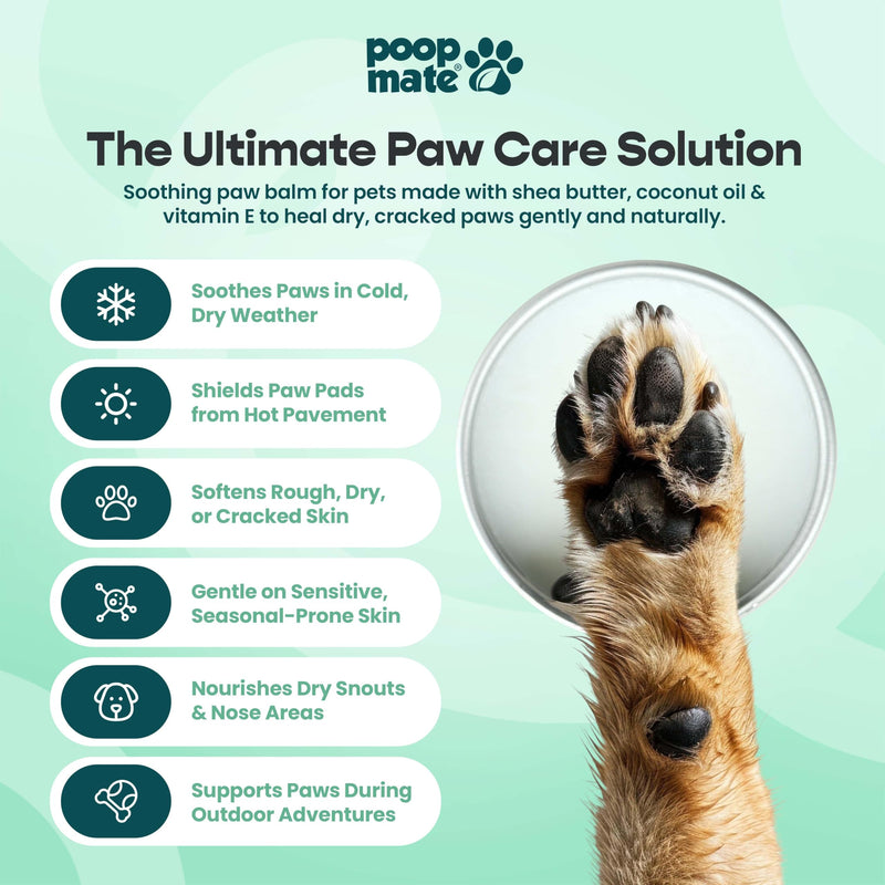 Dog Paw Balm & Nose Balm – Natural, Lick-Safe Paw Care for Dogs – Moisturizing Snout Cream with Coconut Oil, Shea Butter & Vitamin E – Protects Cracked Pads & Dry Noses – 2 oz - PawsPlanet Australia