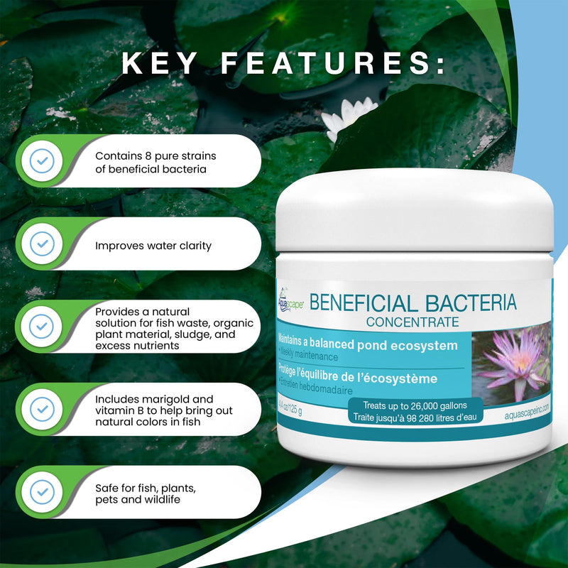 Aquascape Beneficial Bacteria Concentrate for Pond and Water Features, 1.1-Pound, 98949 1.1 lb - PawsPlanet Australia
