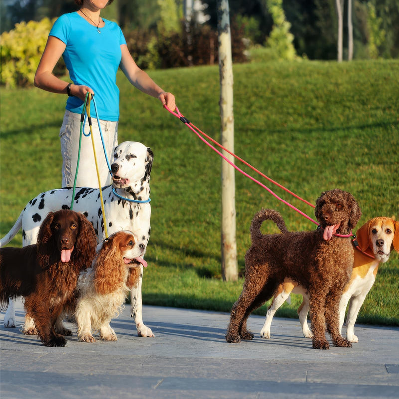 6-Piece Premium No-Pull Dog Slip Leads 4.6ft Adjustable, Pastel Hues (Yellow/Pink/Green/Lt Pink/Blue/Orange) - Easy On/Off, No Collar Needed, Vibrant for Small/Medium Dogs (Walking/Training) - PawsPlanet Australia