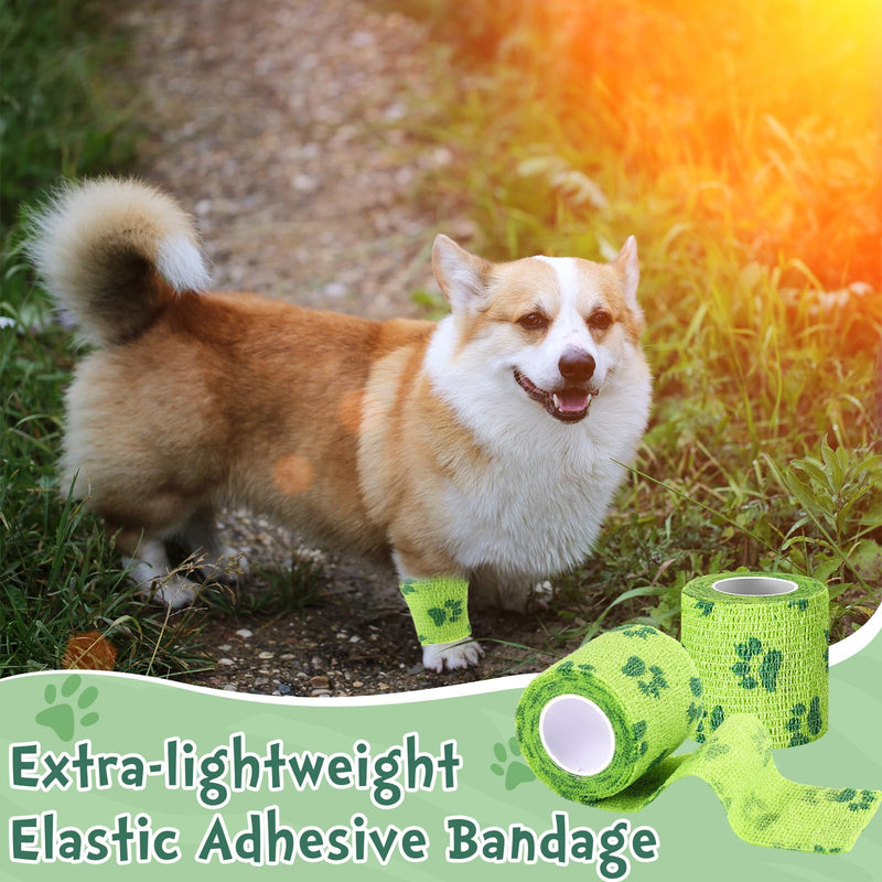 Geiserailie 6 Rolls No Chew Bandage for Dogs Self Adhesive Non-Woven Bitter Bandage Wrap for Dogs' Legs Paws Wounds Cats Animal, Green(2 Inches X 5 yd) about 2 inches x 5 yd/ 5 cm x 4.5 m - PawsPlanet Australia