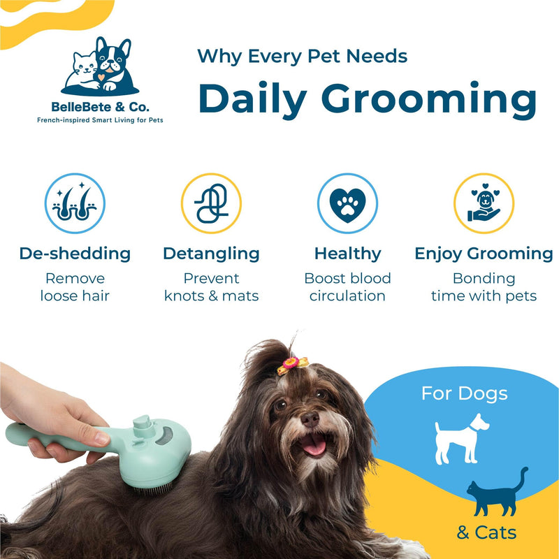 BelleBête & Co. Pet Steam Brush for Dog and Cat, Pet Hair Removal Grooming and Shedding Tool with One-Click Easy Self-Cleaning, USB Charging, No-Rinse Conditioning, Combs for Animals | Purple - PawsPlanet Australia