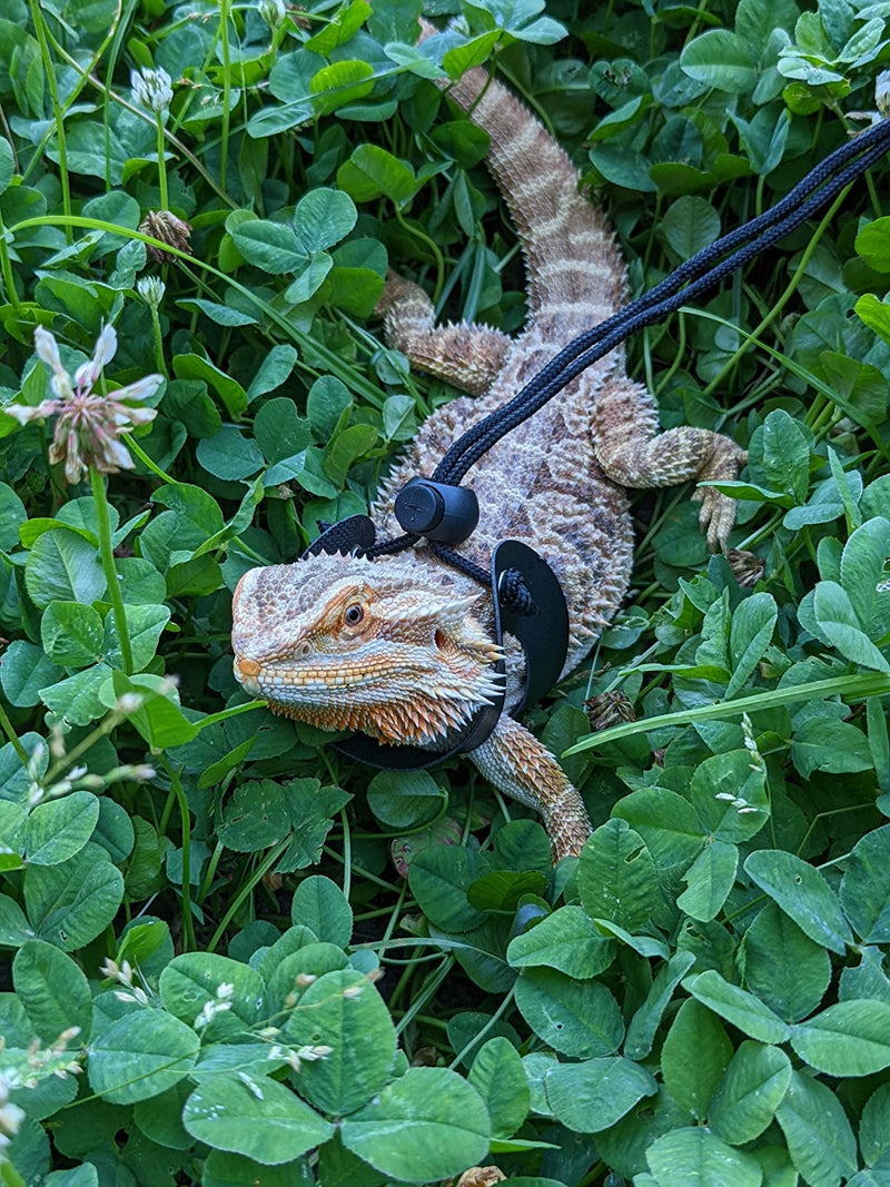 Bearded Dragon Harness and Leash Adjustable(S,M,L, 3 Pack) -Iguana Leash and Harness，Lizard Leash Bearded Dragon，Lizard Walking Rope，Bearded Dragon Leash，Reptile Leash and Harness for Small Lizar