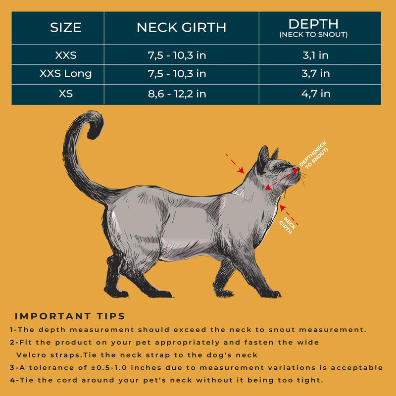 Cat Cone Collar – Colorful Cat Pattern - Lightweight Recovery Cone for Cats, Anti-Lick & Anti-Scratch, Vet Recommended, Elizabethan Collar (Colorful, XXS Long [Neck Girth: 7.5"-10.3"]) XXS Long [Neck Girth: 7.5"-10.3"]