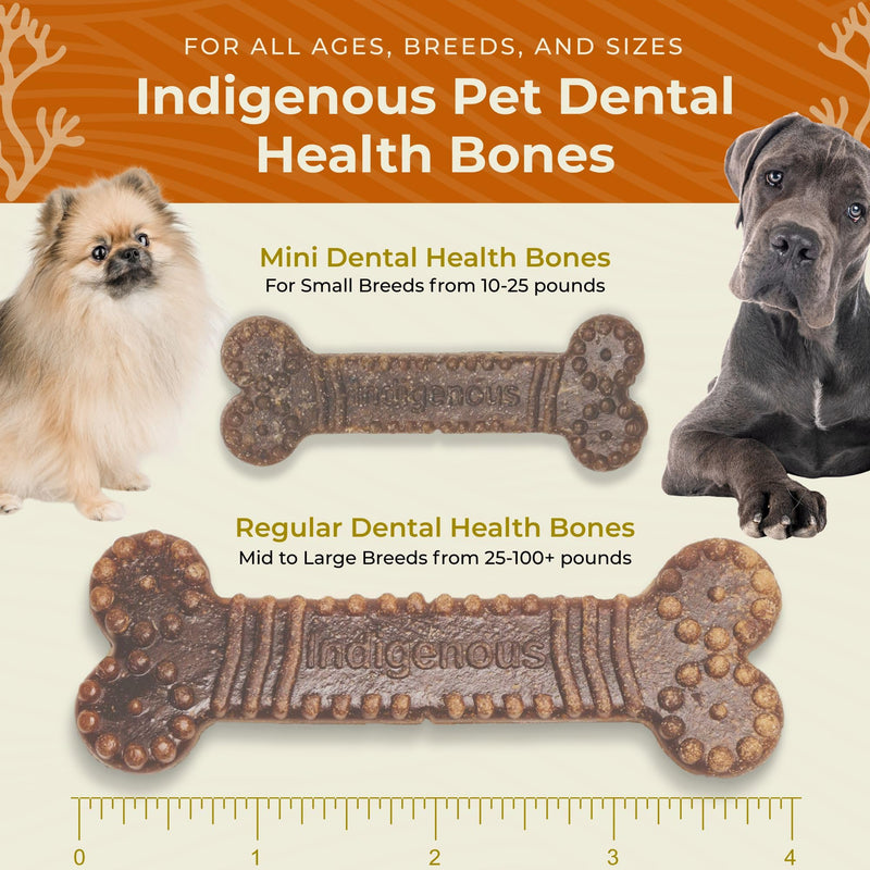 Indigenous Pet Dental Health Bones Mini 2 Pack – Original Fresh Breath (11.92 Ounce x 2) | Grain-Free Dog Chews with Prebiotics & Omegas | Freshens Breath, Supports Digestive, Skin & Coat Health | 11.92 Ounce (Pack of 2)