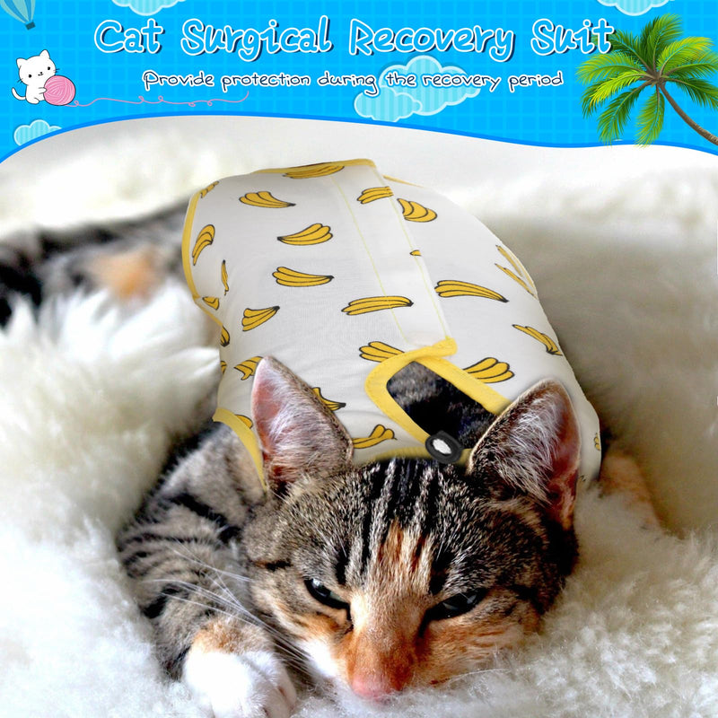 6 Pcs Cat Recovery Suit Kitten Recovery Suit E Collar Alternative Pajama for Cats and Dogs Abdominal Skin Anti Licking Suit, Multi Styles (Fruit,Small) Fruit Small - PawsPlanet Australia