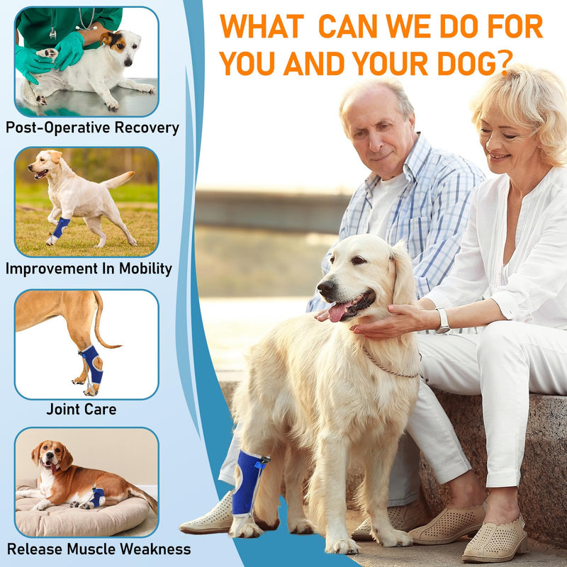 Supet Knuckling Brace for Dogs, Comfortable Foot Splint, Ankle Brace Back Leg for Toe Dragging Cause by Myelopathy, Sciatic Nerve Insufficiency & Herniated Disc (Blue, XL)