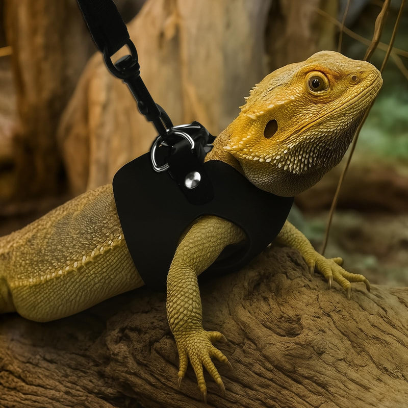 3Size Black Bearded Dragon Leash and Harness Set, Adjustable Bearded Dragon Harness with Lizard Traction Rope for Reptile, Lizard Leash/Squirrel Harness/Small Rabbit Traction Rope (S, M, L) - PawsPlanet Australia