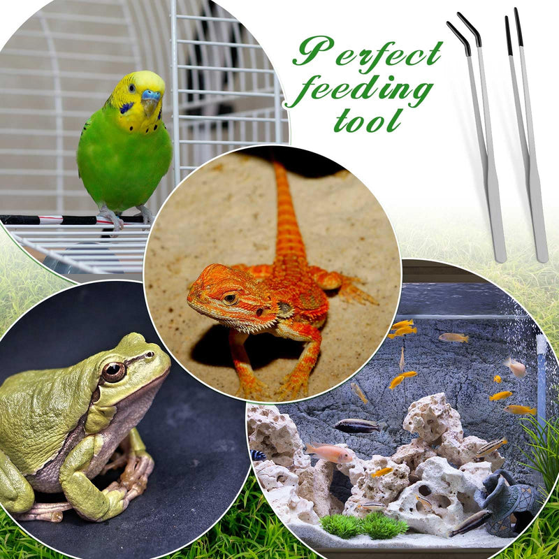 2 Pcs Extra Long Stainless Steel Reptile Feeding Tongs with Rubber Tip Bearded Dragon Aquarium Straight and Curved Long Tweezer Terrarium Feeder Tool for Tank(Silver, 10 Inch, 10.5 Inch) Silver - PawsPlanet Australia