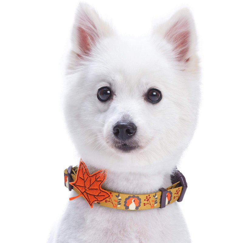 Blueberry Pet 8 Patterns Thanksgiving Fall Festival Moonlit Turkey Designer Adjustable Dog Collar with Maple, Medium, Neck 14.5"-20" - PawsPlanet Australia