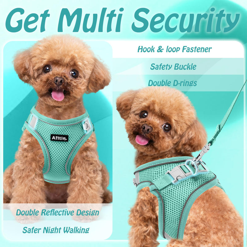 AIITLE No Pull Dog Harness and Leash Set, Step in Adjustable Dog Harness with Padded Vest for All Weather, Dog Leash with Soft Padded Handle, Easy to Put on Small and Medium Dogs Pure Turquoise S S(Chest: 13.5 - 16") - PawsPlanet Australia