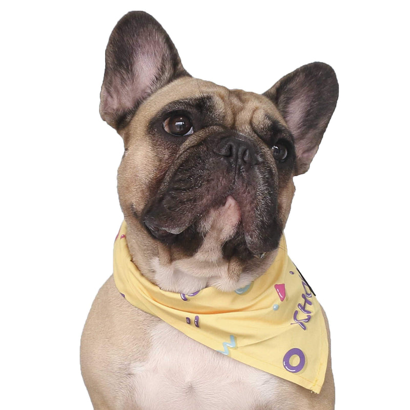 iChoue Original Print French Bulldog Collar with Leash Bandana Set Adjustable for Frenchie Pug English Boston Terrier Dogs, Yellow, Large Large ( 45 - 70 lbs ) Collar with Leash Bandana Yellow - PawsPlanet Australia