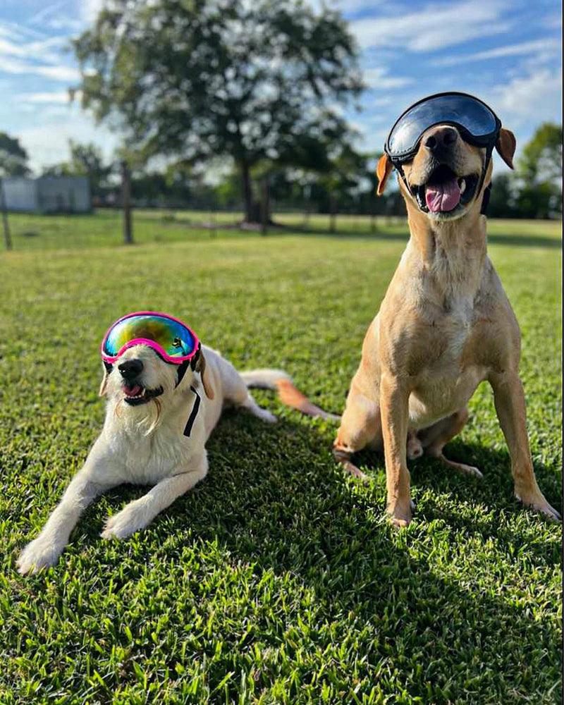 Large Dog Sunglasses, Dog Goggles Large Breed and Medium, UV Protection, Windproof, Dustproof and Snowproof. Shatterproof Lens, Adjustable Strap Silver - PawsPlanet Australia
