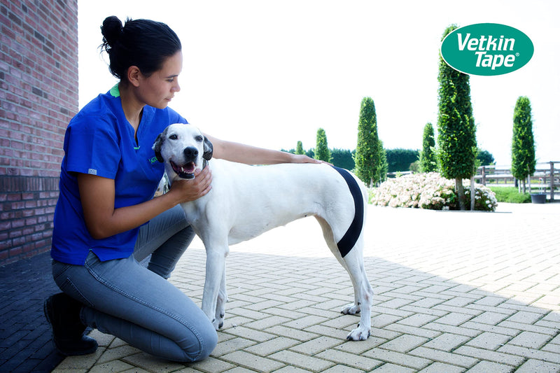 VETKIN VetkinTape® Veterinary Kinesiology Tape | Taping for Horses & Dogs | Equine & Canine kinesiotape | Latex Free and TÜV Quality Mark Certified | 1.2 inch - (3cm-5m) | Pack of 2 Rolls | Black - PawsPlanet Australia