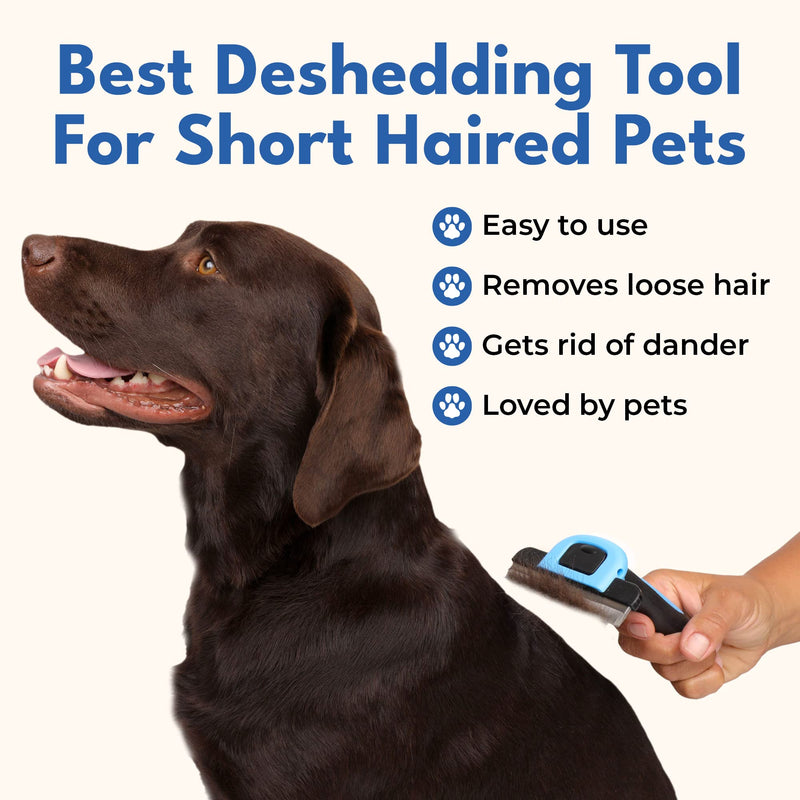 Deshedding Brush for Short Haired Dogs & Cats - Cat and Dog Brush for Shedding Short Hair - Highly Effective Deshedder Grooming Comb - PawsPlanet Australia