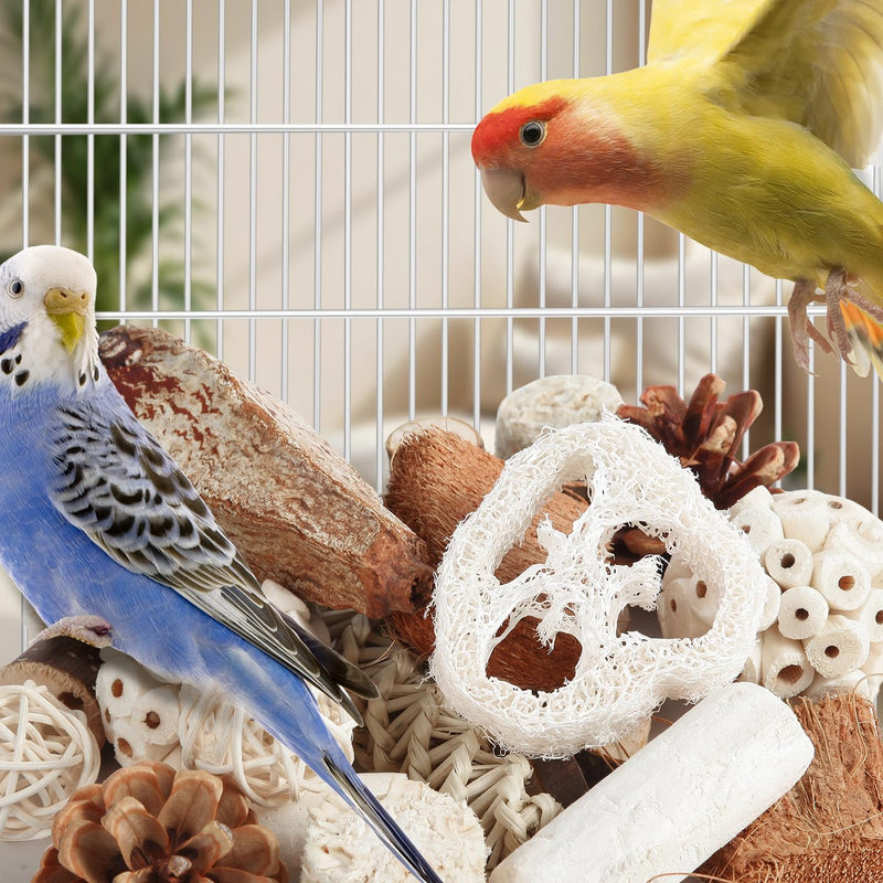 Kyouki Bird Toys Parrot Toys Natural Bird Foraging Box Foot for Parakeets,Cockatiels,Conures,Love Birds,and Other Small to Medium Birds (Medium) - PawsPlanet Australia