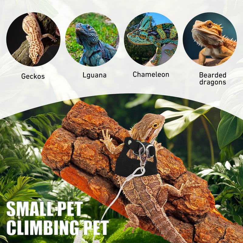 Bearded Dragon Leash and Harness Set, 3 Size Adjustable Soft Leather Lizard Leash Training Walking Prevent Escape, Spring Can be Stretched to 3m, for Iguana Squirrels Small Reptiles Outdoors (Black) - PawsPlanet Australia