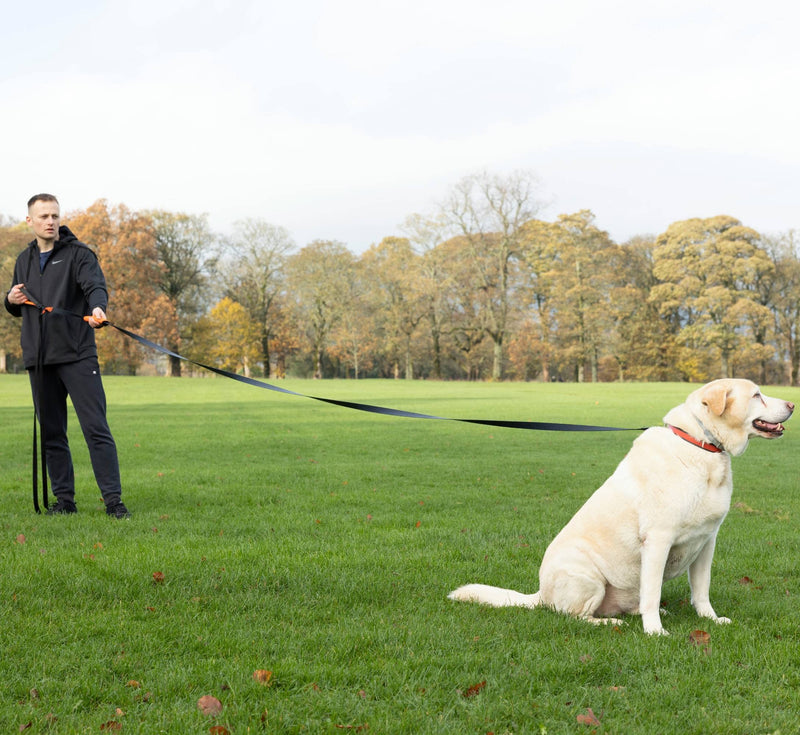 30ft Long Leash for Dogs - Long Line Dog Leash for Training Recall/Commands at Distance - Nylon, Heavy Duty - Ideal for Large & Small Breeds 30ft - PawsPlanet Australia