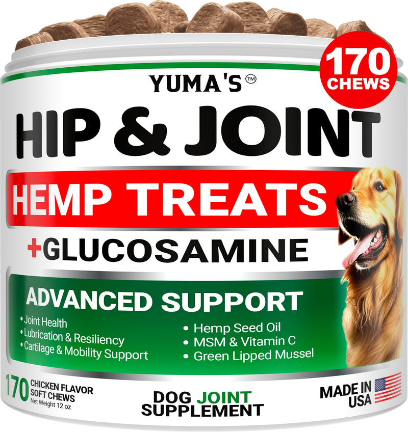 YUMA'S Hemp Hip and Joint Supplement for Dogs - Glucosamine for Dogs - 170 Dog Joint Pain Relief Chews - Chondroitin, MSM - Hemp Oil - Advanced Dog Joint Supplement Health - Mobility Support Treats 170 Treats Hemp Hip & Joint Chews