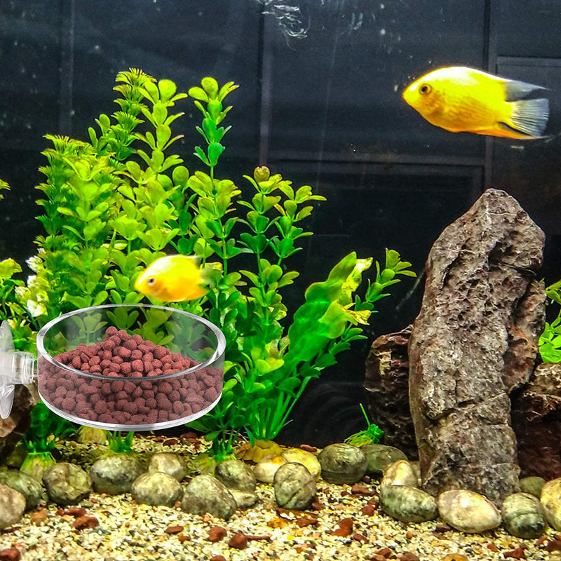 Dannisly Aquarium Glass Feeder Dish Shrimp Feeding Dish Clear-Round - PawsPlanet Australia