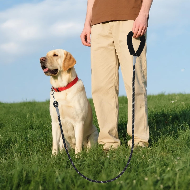 Mile High Life Reflective Dog Leash, with Comfortable Padded Handle, Black Nylon Rope Leash with Steel Tips, Heavy Duty 4 Feet Pet Leashes (Black,72 Inches) 6 Feet Reflective Nylon Rope - Black - PawsPlanet Australia