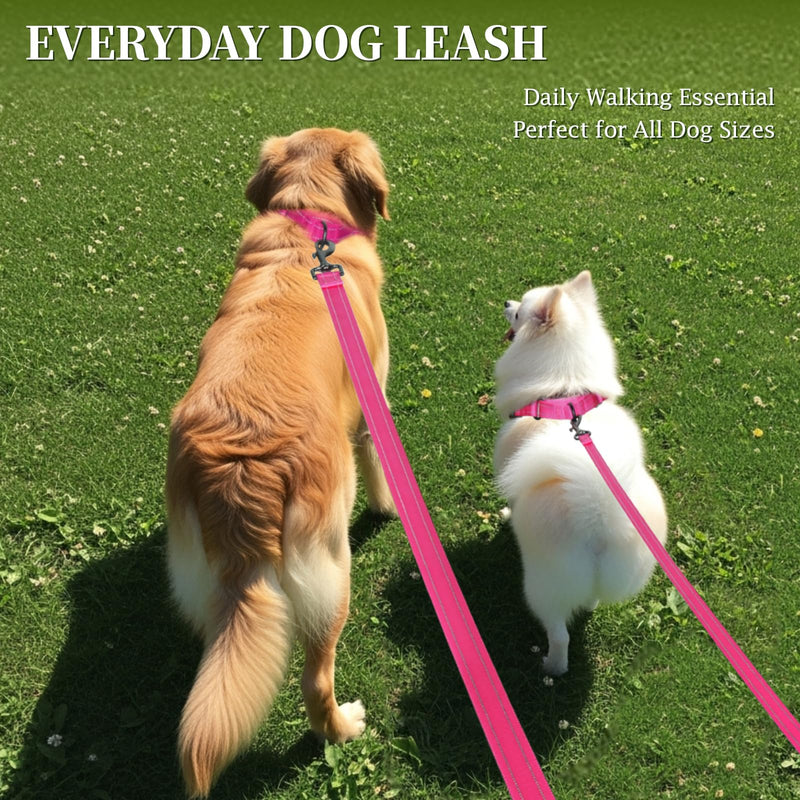 VIVAGLORY Dog Leash Dailyx Pet Leash with Soft Padded Handle for Training & Walking, Heavy Duty & Double Layer Nylon for Pet Puppy, 4ft x 1in, Pink Leash (4 ft. x 1 in.)