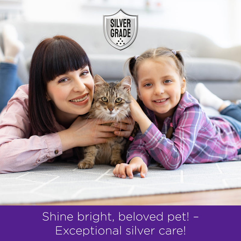 SILVER GRADE Teeth & Gum Dog Breath Spray for Pets Mouth – Cat Dental Care with Silver – Dog Breath Freshener Helps with Tartar & Caries – Plaque Remover for Daily Use – 4 Oz 4 Fl Oz (Pack of 1) - PawsPlanet Australia