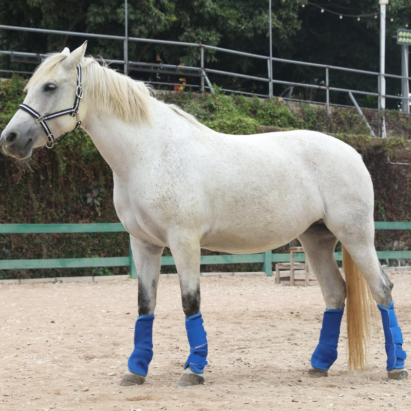 Horse Fly Boots Set of 4, Breathable Comfy Mesh Fly Boots for Horses, Non-Slip Horse Fly Leggings No More Stomping & Horsefly Nuisance Darkblue Full Dark Blue
