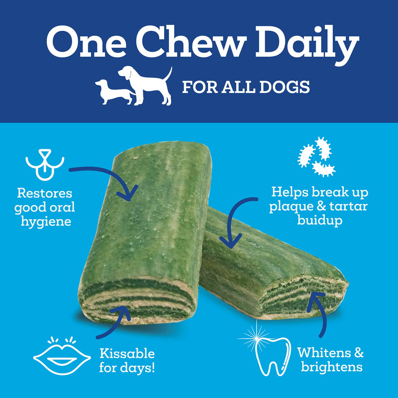 Vetality Brush Free Daily Dental Care Chews for Dogs | Cleans Teeth and Freshens Breath | 30 Count | B.E.S.T. Complex Provides Complete Oral Cleaning and Tartar Control 30 Count (Pack of 1)