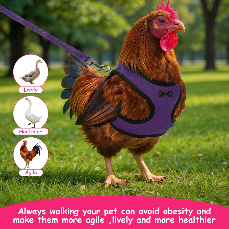 Chicken Harness with Leash Set, Upgraded Double Adjustable Mesh Breathable Chicken Training Harness, Pets Leash for 3-4 Lb Hens Duck Goose Small Pets Training Walking Supplies (4 Colors) - PawsPlanet Australia