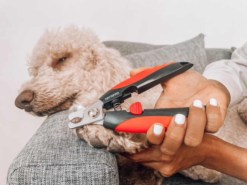 Tuff Pupper Dog Nail Clipper | Bonus Free Nail File | Razor Sharp Stainless Steel Blades | Protective Safety Guard Prevents Over-Cutting | Sturdy Non Slip Handles for Safe Grooming | Medium Large Dogs - PawsPlanet Australia