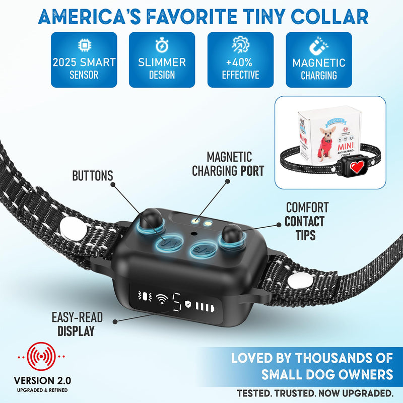 Bark Collar for Small Dogs 5-15 lbs with Magnetic Charging – No Shock, 3 Beep & Vibration Modes, 5 Sensitivity Levels – Humane Stop Anti-Barking Device – Dog Training Bark Collar (Black/Red Heart) Black/Red Heart - PawsPlanet Australia