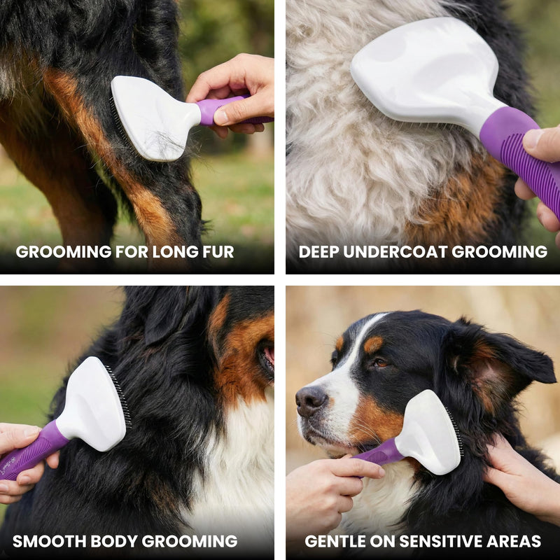 Poodle Pet Slicker Brush Large Size - For Dogs, Cats, Rabbits - Matted/Loose Fur, Knots - Suitable for Doodle/Goldendoodle Grooming and Shredding Short/Long Hair Purple