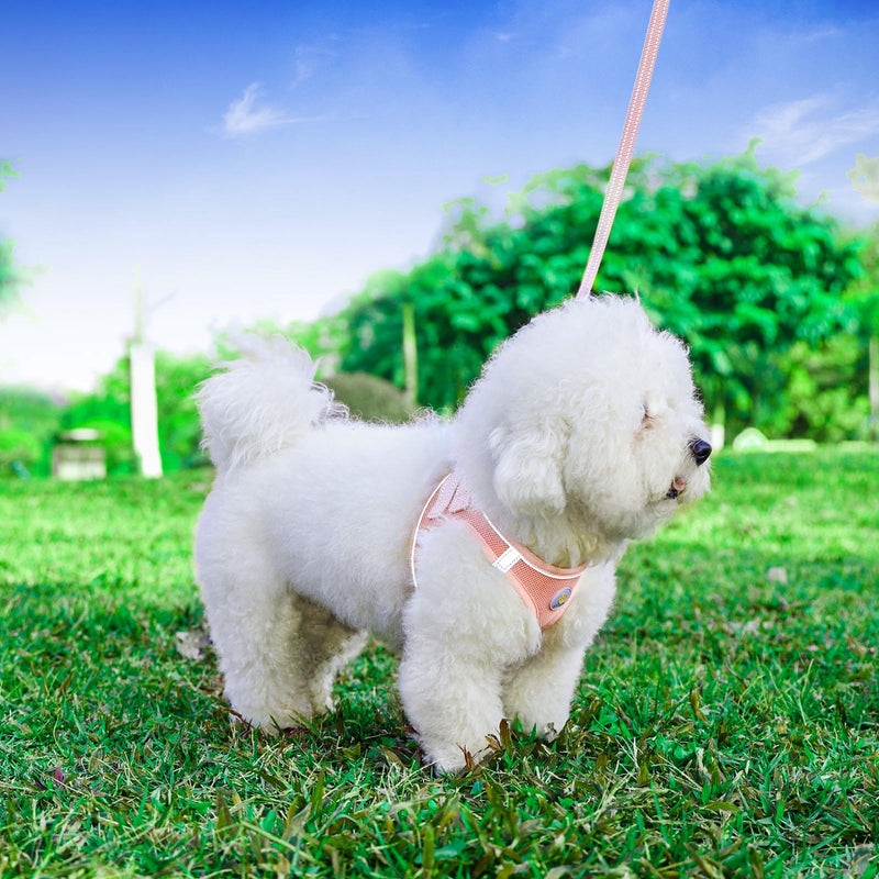 Dog Harness and Leash Set, No Pull Soft Mesh Puppy Harness for Small Medium Dogs, Cats - Step in Reflective Breathable Lightweight Vest Harness for Walking, Training - Pink, XS XS(Chest: 13.5"-15") - PawsPlanet Australia