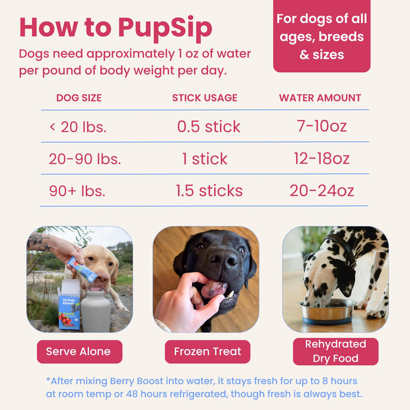 Dog Electrolytes – Hydration Support for Heat, Travel & Exercise – Helps Prevent Dehydration & Encourage Drinking – Water Flavor Enhancer with Electrolytes for Dogs, 12 Sticks