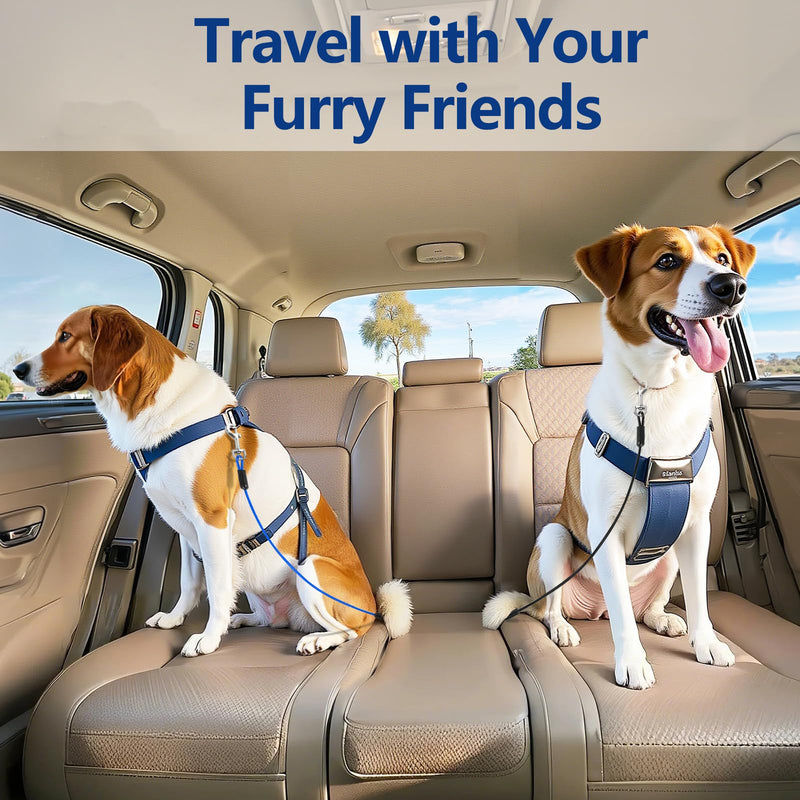 Pawaboo DogSeatbelt, Chew-Proof Leash Extender, Coated Steel Rope Restraint Car Safety Seat Belt Clip Strap, 360° Rotation Hook Heavy Duty Carabiner Steel Cable, 26 Inch, 2 Pack, Black + Blue - PawsPlanet Australia