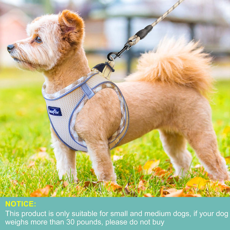 haapaw Dog Harness with Leash Set, No Pull Adjustable Reflective Step-in Puppy Harness with Thickened Padded Vest for Extra-Small/Small Medium Dogs M (Chest 15''-18'', Weight 10-15 lb) Beige - PawsPlanet Australia