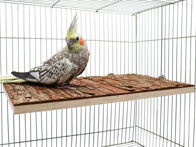 13.6 × 7.9 inch Large Bird Perch Stand Platform, Natural Wooden Small Animals Cage Accessories, Rectangle Stand Perch Shelf for Parrot Parakeet Cockatiel Rat Hamster Guinea Pig Conures Chinchillas 13.6 × 7.9 inch - PawsPlanet Australia