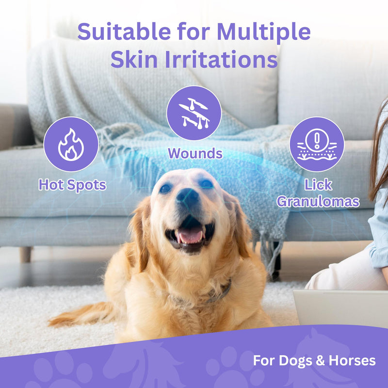 Pavia Power Pads | Natural Anti-Lick Healing Pads for Dogs and Horses | Prevents Licking and Supports Healing of Hot Spots, Sores, Wounds & Incisions | Propolis & Oregano Oil Formula | 42 Pads