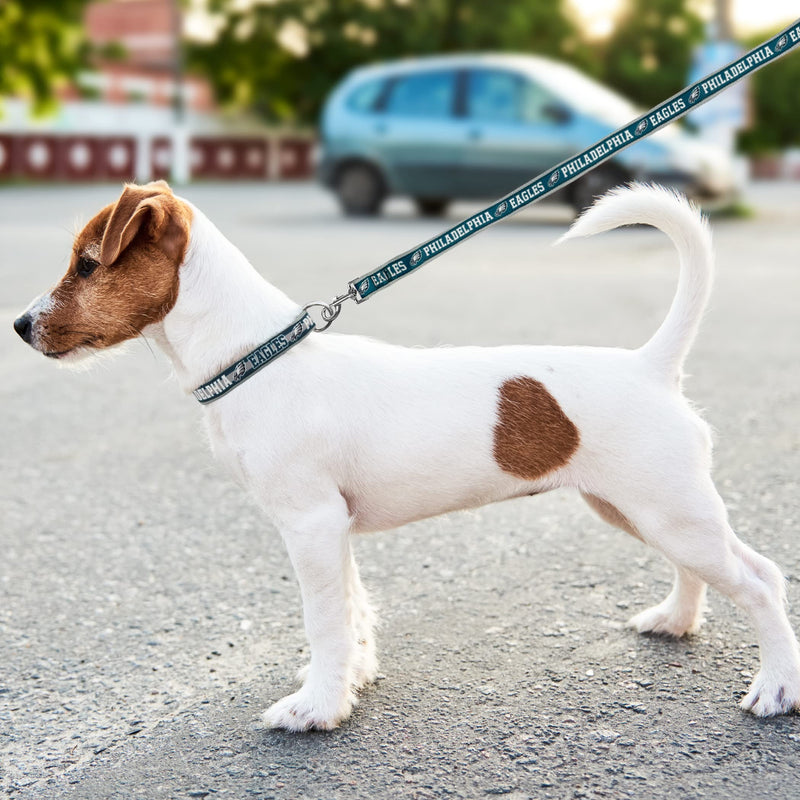 NFL PET Leash Philadelphia Eagles Dog Leash, Large Football Team Leash for Dogs & Cats. A Shiny & Colorful Cat Leash & Dog Leash Licensed by The NFL - PawsPlanet Australia